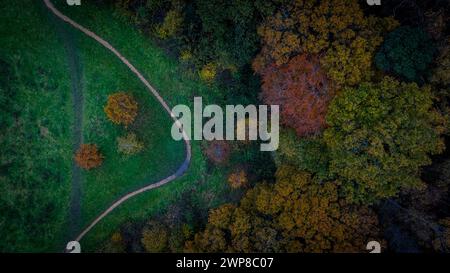 Vista dall'alto degli alberi dai colori autunnali accanto a un sentiero in un parco. Surrey, Inghilterra Foto Stock