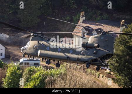 Chinook nella Wye Valley Foto Stock