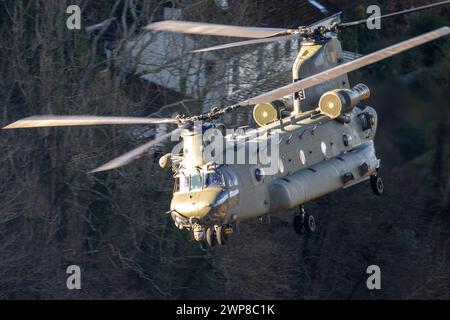 Chinook nella Wye Valley Foto Stock