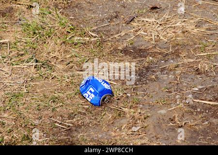 Lettiera nell'erba lungo la strada Foto Stock