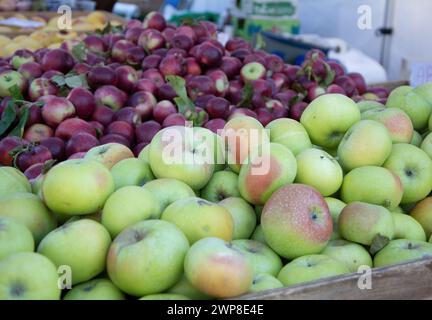 Frutta assortita in una cassa di legno Foto Stock