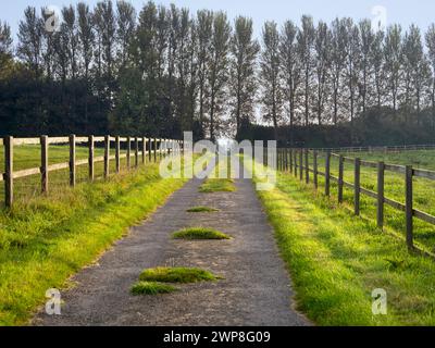 Heythrop Park è un parco di 440 ettari circa situato nel cuore delle Cotswolds. Ha una casa di campagna classificata di grado II all'inizio del XVIII secolo, - ora convertita Foto Stock