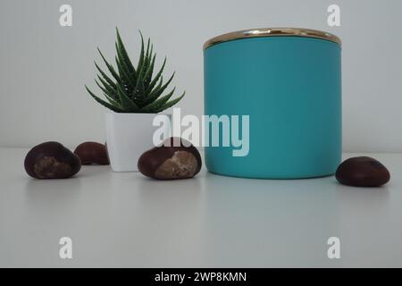 Una composizione di un vasetto di sali da bagno, un fiore artificiale per interno di aloe o Kalanchoe, e diversi frutti di castagno. Ancora vita di elementi di arredamento per un l Foto Stock