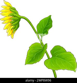 Pianta di girasole con illustrazione colorata di fiori Illustrazione Vettoriale