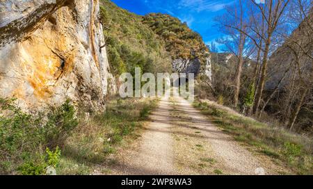 Sentiero Paseo del Río oca, Oña, Las Merindades, Burgos, Castilla y León, Spagna, Europa Foto Stock