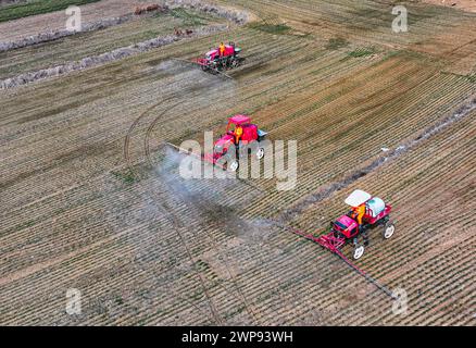 Pechino, Cina. 6 marzo 2024. Una foto aerea scattata il 6 marzo 2024 mostra macchine agricole che spruzzano insetticidi in un campo di grano nel villaggio di Shuangmiao nella municipalità di Hushan, Rongcheng, nella provincia di Shandong nella Cina orientale. Gli agricoltori di molte regioni della Cina sono impegnati nei campi con aratura primaverile, semina e altre attività agricole. Crediti: Li Xinjun/Xinhua/Alamy Live News Foto Stock