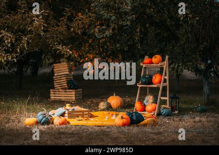 Ambientazione natalizia con produzione agricola Pumpkins sullo sfondo di un cortile rustico. Autunno, halloween, zucca, copyspace. la scaletta delle zucche si appoggia Foto Stock