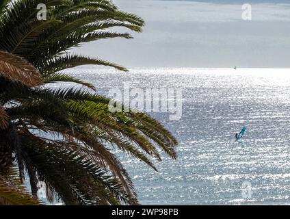 Costa calma, Spagna. 21 gennaio 2024. Un windsurf cavalca sulla spiaggia di Costa calma nell'Atlantico. I rami di una palma possono essere visti sulla sinistra. Credito: Soeren Stache/dpa/Alamy Live News Foto Stock