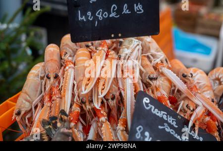 Assortimento di catture giornaliere fresche di gamberetti, pesci, conchiglie, molluschi su ghiaccio al mercato del pesce in Francia, traduzione inglese: Gamberetti Foto Stock