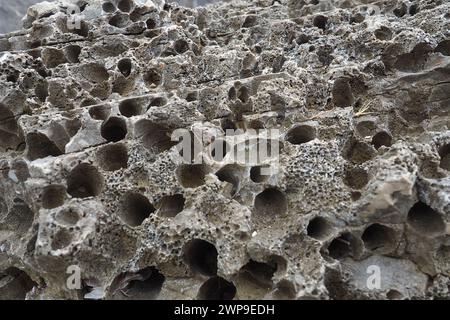 Pietre vulcaniche. Materiale in pietra porosa, arioso e sfuso, cellulare spugnoso. Primo piano di roccia vicino a Meljine, Herceg Novi, Montenegro. Buchi nella lava solidificata. Grigio Foto Stock