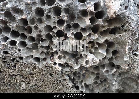 Pietre vulcaniche. Materiale in pietra porosa, arioso e sfuso, cellulare spugnoso. Primo piano di roccia vicino a Meljine, Herceg Novi, Montenegro. Buchi nella lava solidificata. Grigio Foto Stock