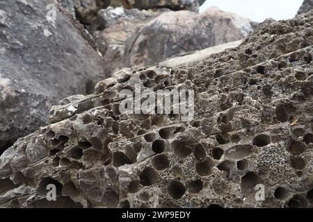 Pietre vulcaniche. Materiale in pietra porosa, arioso e sfuso, cellulare spugnoso. Primo piano di roccia vicino a Meljine, Herceg Novi, Montenegro. Buchi nella lava solidificata. Grigio Foto Stock