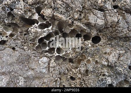 Pietre vulcaniche. Materiale in pietra porosa, arioso e sfuso, cellulare spugnoso. Primo piano di roccia vicino a Meljine, Herceg Novi, Montenegro. Buchi nella lava solidificata. Grigio Foto Stock
