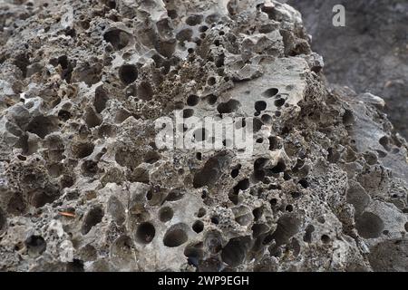 Pietre vulcaniche. Materiale in pietra porosa, arioso e sfuso, cellulare spugnoso. Primo piano di roccia vicino a Meljine, Herceg Novi, Montenegro. Buchi nella lava solidificata. Grigio Foto Stock