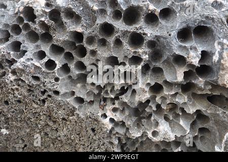 Pietre vulcaniche. Materiale in pietra porosa, arioso e sfuso, cellulare spugnoso. Primo piano di roccia vicino a Meljine, Herceg Novi, Montenegro. Buchi nella lava solidificata. Grigio Foto Stock