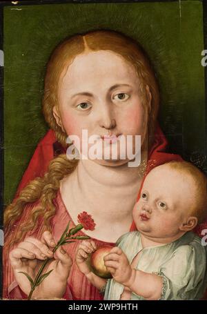 Madonna con i figli Dürer, Albrecht (1471-1528); XVI secolo (1500-00-00-1599-00-00-00-00); Gesù bambino (iconogr.), Madonna con il bambino (iconogr.), chiodi di garofano, pittura tedesca, spettacoli devozionali Foto Stock