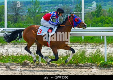 PYATIGORSK, RUSSIA- 7 MAGGIO 2023: La corsa di cavalli finale del premio Estate, Caucaso settentrionale. Foto Stock