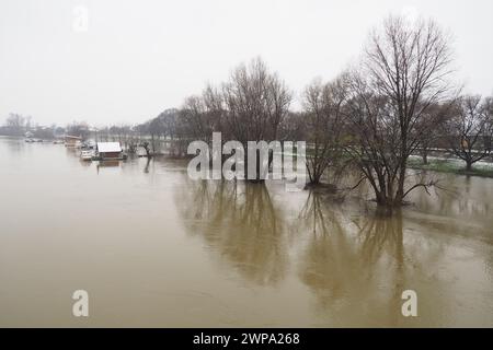 Macvanska Mitrovica, Serbia, 01.27.2023 il ponte sul fiume Sava. Inondazione dopo forti piogge e neve sciolta. Un rapido flusso di acqua fangosa. Alberi Foto Stock