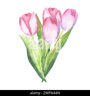 Bouquet di fiori su sfondo bianco isolato. Illustrazioni in acquerello. Tulipani chiari rosa disegnati a mano. Per biglietti, inviti, festeggiamenti Foto Stock