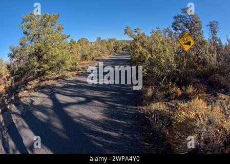 Il Greenway Trail che corre tra Pima Point e Monument Creek Vista al Grand Canyon Arizona. Foto Stock