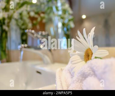 primo piano di una margherita bianca con petali su un asciugamano e acqua che cade in uno sfondo sfocato Foto Stock