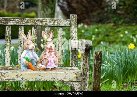 Simpatici conigli giocattolo in ambientazioni boschive tra nevi e narcisi. Ideale per la pasqua o per libri o foto per bambini. Foto Stock