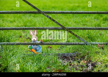 Simpatici conigli giocattolo in ambientazioni boschive tra nevi e narcisi. Ideale per la pasqua o per libri o foto per bambini. Foto Stock