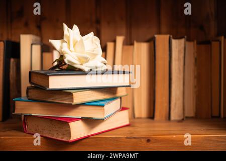 copia libri spaziali impilati con una rosa bianca sopra una vecchia libreria nel giorno mondiale del libro della libreria Foto Stock