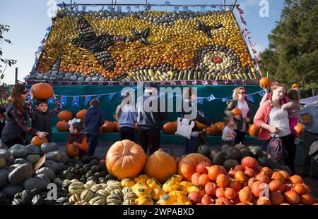 27/10/14 le famiglie che si godono il sole a metà termine affollano per comprare le zucche per Halloween da un cottage-giardino a Slindon, vicino a Chichester West su Foto Stock