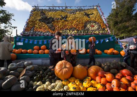 27/10/14 le famiglie che si godono il sole a metà termine affollano per comprare le zucche per Halloween da un cottage-giardino a Slindon, vicino a Chichester West su Foto Stock