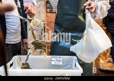 La gente al banco del mercato per la pesca - il venditore sta mettendo i granchi blu di callinectes sapidus nel sacco - i granchi blu sono le coste atlantiche americane - T Foto Stock