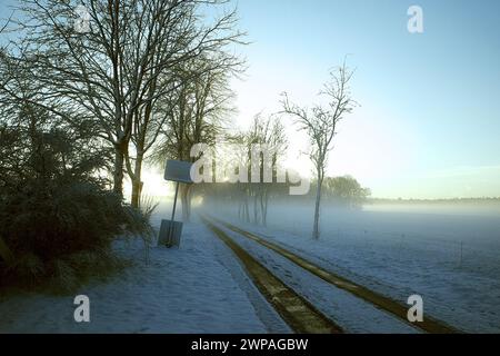 Magia invernale. Neve al mattino. Una strada di campagna, un prato coperto di neve, cielo blu e una striscia di nebbia mattutina. In una zona rurale della Germania occidentale Foto Stock