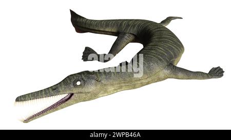 Genere estinto di rettili marini squamati del Cretaceo superiore Foto Stock