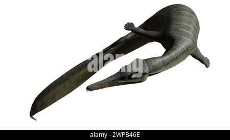 Genere estinto di rettili marini squamati del Cretaceo superiore Foto Stock