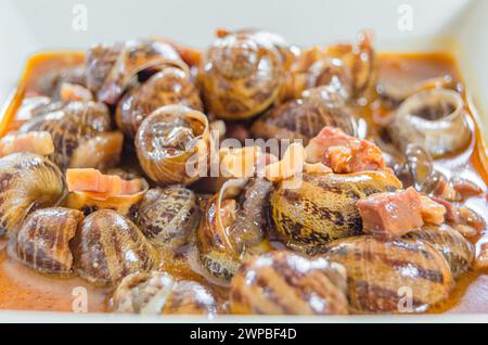 Piatto di lumache in salsa, tipico della Spagna settentrionale Foto Stock