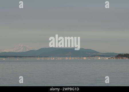 Barche a vela e barche da diporto che fanno un'illusione ottica nelle isole Gulf BC vicino a Sidney in Canada Foto Stock