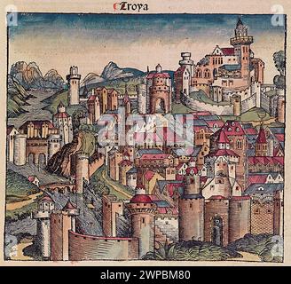 Una bella boscaglia del 1493 della città di Troyes in Francia. Questa illustrazione proviene dalla Cronaca di Norimberga, che è un'eniclodpedia degli eventi mondiali, della mitologia e della storia cristiana. Questo lavoro extra-ordinario è stato uno dei primi libri mai stampati e il primo a integrare con successo testo e immagini. Foto Stock