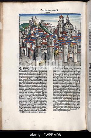 Belle pagine scolpite in legno dalla Cronaca di Norimberga del 1493, che è un'eniclodpedia degli eventi mondiali, della mitologia e della storia cristiana. Questo lavoro extra-ordinario è stato uno dei primi libri mai stampati e il primo a integrare con successo testo e immagini. Queste pagine mostrano testo latino e un'incisione della città di Padova in Italia Foto Stock