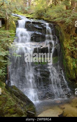 Una cascata incontaminata in un torrente in una fitta foresta pluviale temperata nella regione della foresta pluviale Great Bear sulla costa centrale della Columbia Britannica, Canada. Foto Stock