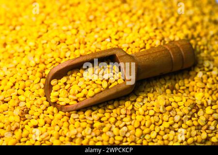 Fagioli mung fritti in una paletta di legno su un mucchio di fagioli mung fritti Foto Stock