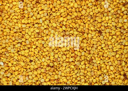 Fondo di fagioli mung fritti. Vista dall'alto della consistenza dei fagioli mung gialli. Foto Stock