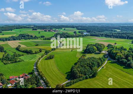 Vista del Markt Wald nella regione del Danubio-Iller nel Parco naturale delle foreste occidentali nella Svevia Bavarese Foto Stock