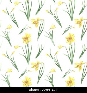 Motivo senza cuciture di narcisi gialli con foglie verdi su sfondo bianco. Illustrazione ad acquerello disegnata a mano narciso della primavera del giardino. Modello per f Foto Stock