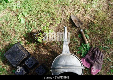 Guardando verso il basso una barattola da irrigazione metallica, una cazzuola appena utilizzata, un paio di guanti, vasi vuoti e una pianta ancora da piantare. Foto Stock