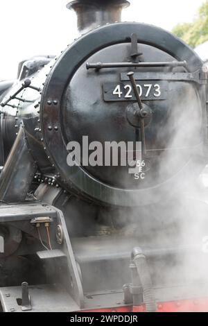 Regno Unito, Cumbria, Lakeside Station, treno a vapore sulla ferrovia Haverthwaite. Foto Stock