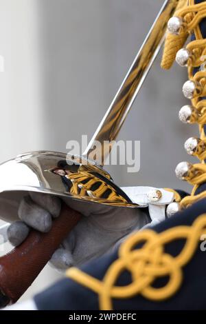 Regno Unito, Londra, i dettagli delle guardie a cavallo di Royal Horse Artillery di King's Troop a Whitehall. Foto Stock