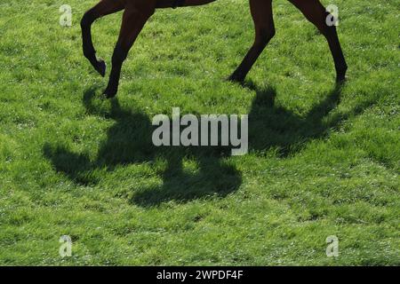 10.12.2023, Hong Kong, Hong Kong, Hong Kong, CHN - Schatten von Pferd und Jockey auf Gras. Asiatisch, Asien, aussen, Aussenaufnahme, Cina, chinesisch, Galopp, Galopper, galoppieren, galopppieren, Galopprennpferd, Gangart, Gelaeuf, Gras, Hong Kong, Hong Kong, Hufe, Jockey, PFERD, Pferdebeine, Pferdesport, QF, Querformat, Rasen, Reiten, Reiter, Reitsport, Rennpferd, Schatten, Schattenriss, Schattenwurf, Scherenschnitt, silhouette, Suedostasien, Symbol, Symbolfoto, Symbolik, symbolisch, Umriss 231210D021HONGKONG.JPG *** 10 12 2023, Hong Kong, Hong Kong, CHN Shadow of Horse and Jockey on Grass asian, Asia, ou Foto Stock