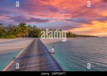 Incredibile panorama al tramonto alle Maldive. Ville resort di lusso con luci soffuse a LED sotto il cielo colorato. Bel cielo crepuscolo e nuvole colorate Foto Stock