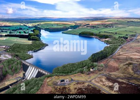 Bacino di Thruscross, nello Yorkshire, Dales Foto Stock