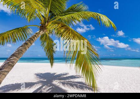 Perfetto striscione estivo con una spiaggia rilassante e mare blu e foglie di palma. Concetto di vacanza tranquilla Foto Stock
